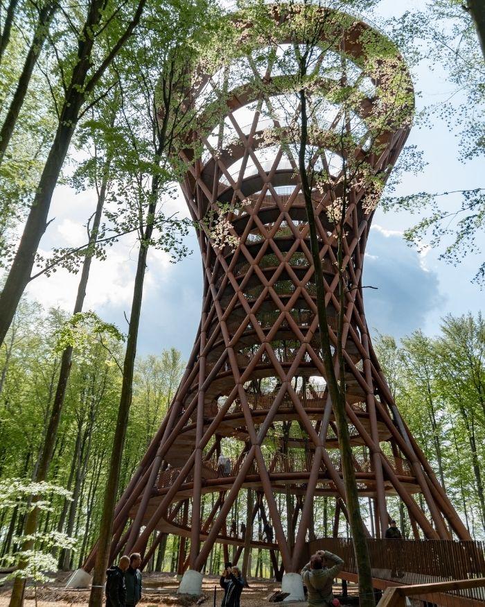 Skovtårnet ved Camp Adventure tæt på Easy Stay – populær naturoplevelse i Gisselfeld skovene.